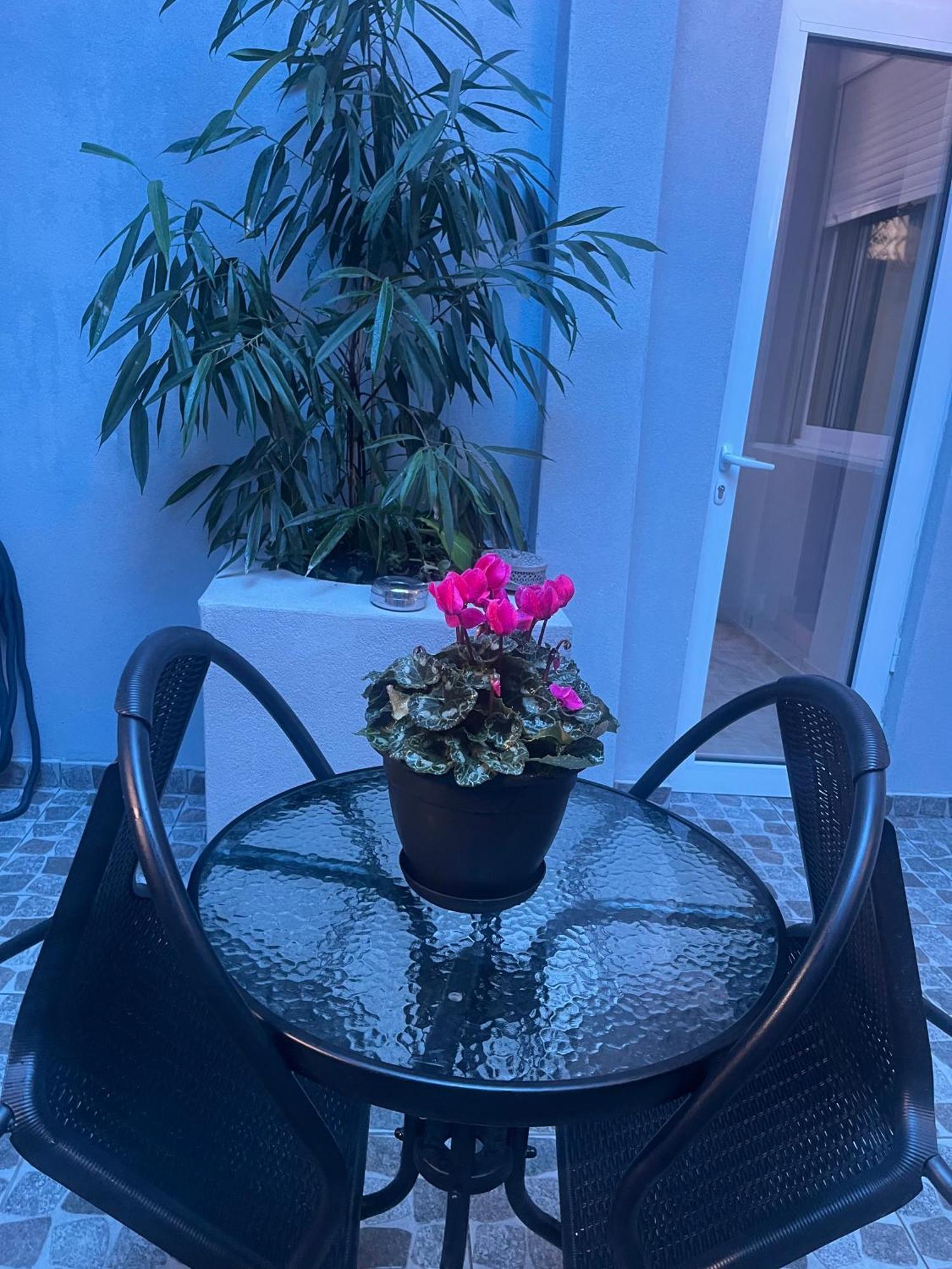 Konstantina'S Apartment أليكسانثيربوليس المظهر الخارجي الصورة
